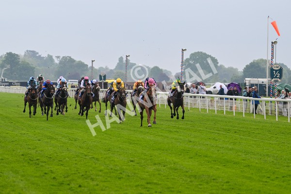 150524-Race 1-Crystal Delight-3545 - Race 1 2.15pm Sky Bet Race To The Ebor Jorvik Handicap
