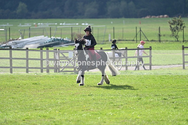 WJ7_3699 - 40cm Time 10:26 to 10:42