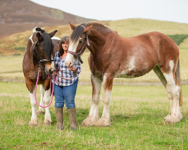 Dionne-213 - Janes Horses