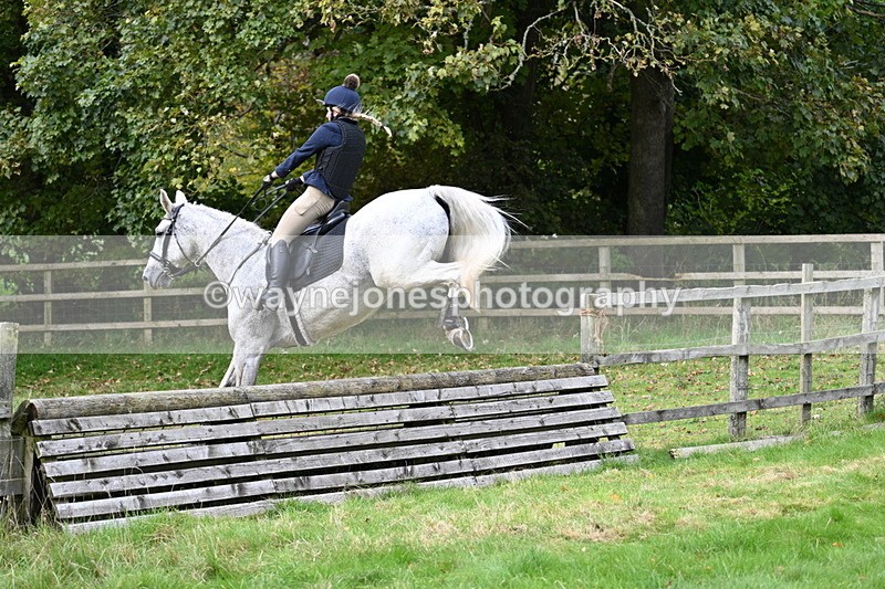 WJ7_4600 - Camera 1 Line 3