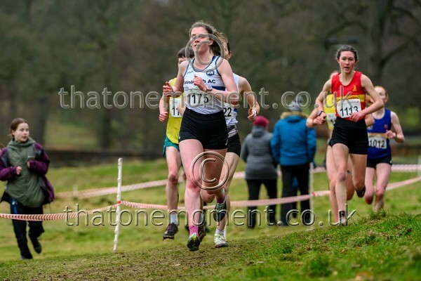 Falkirk26-922060 - Senior Women Set One