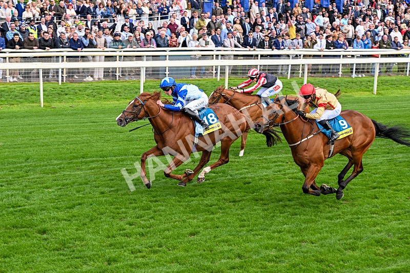 130626-Race 4-Thunder Call-1297 - Race 4 15.35pm Churchill Tyres Supporting Macmillan Sprint Handicap