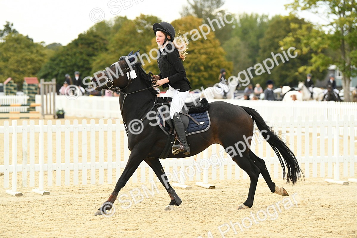 SBM_73393 - J16 - Junior Pony 75cm Championship