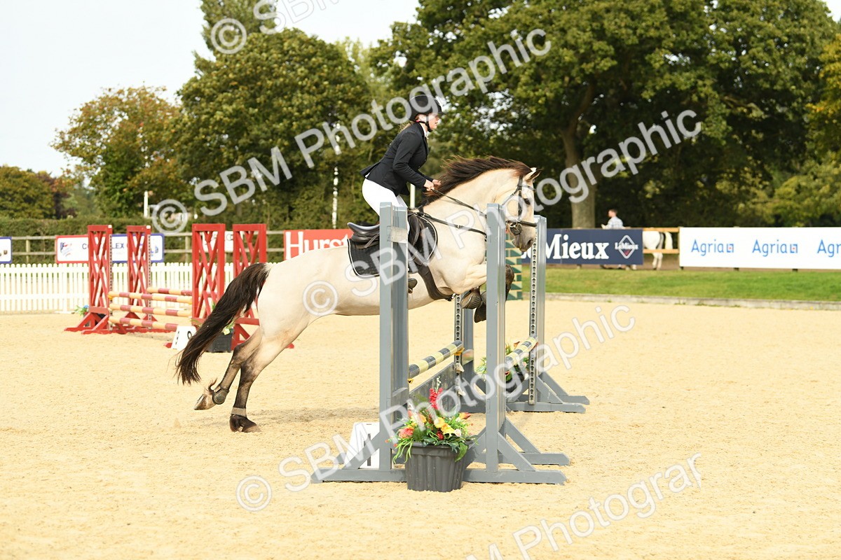 SBM_71006 - J15 - Junior Pony 70cm Championship