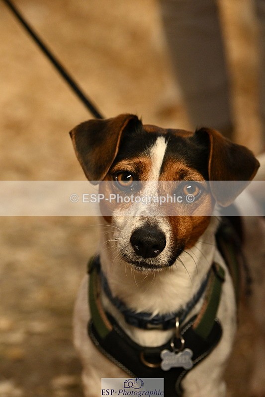 240809A-092419-00075 - Stable Shots