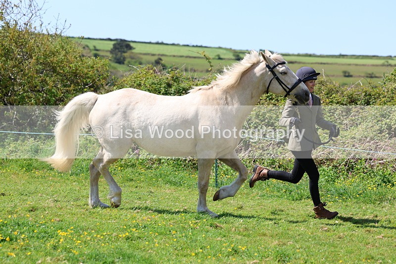 3E7A0233 - Class 19: Best Coloured in Hand