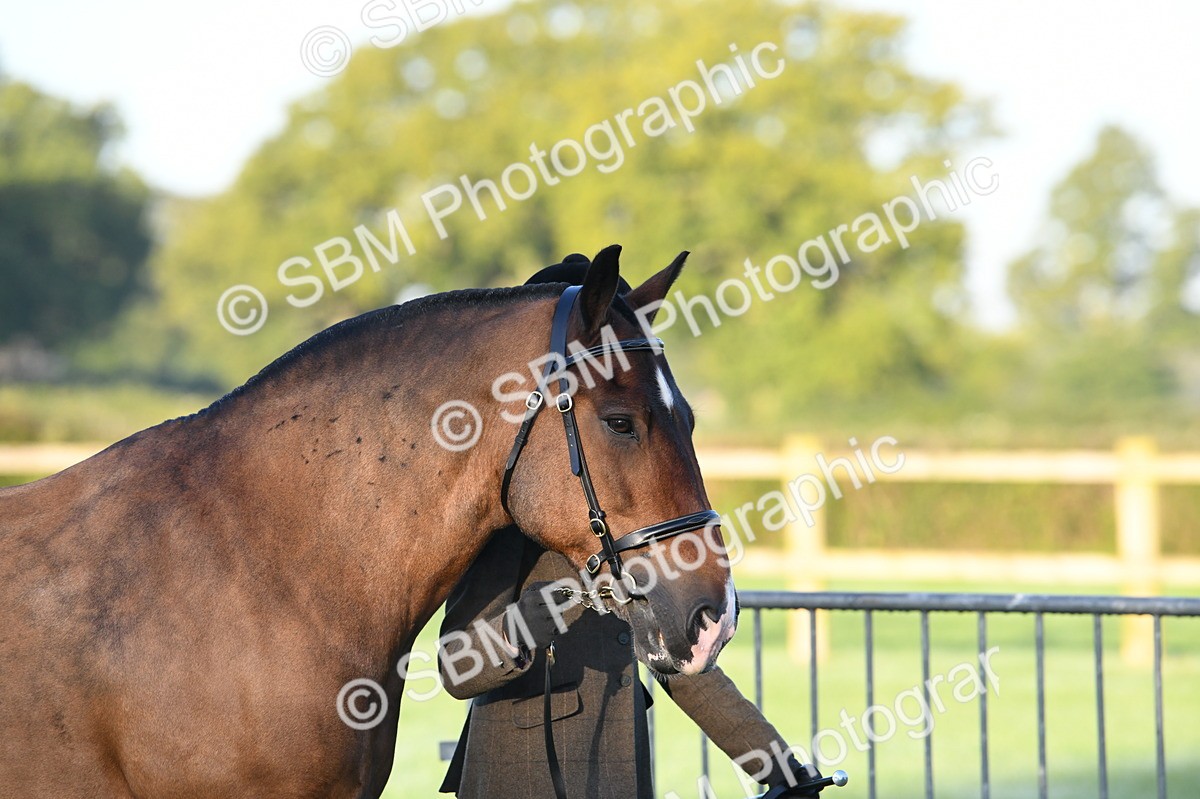 SBM_32438 - S15 - Condition & Turnout In Hand