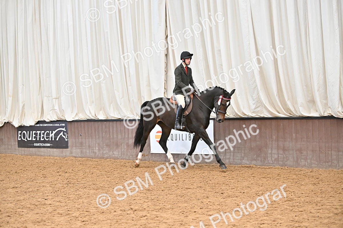 SBM_002331 - Class 22 - BSHA Ridden Hack & Riding Horse
