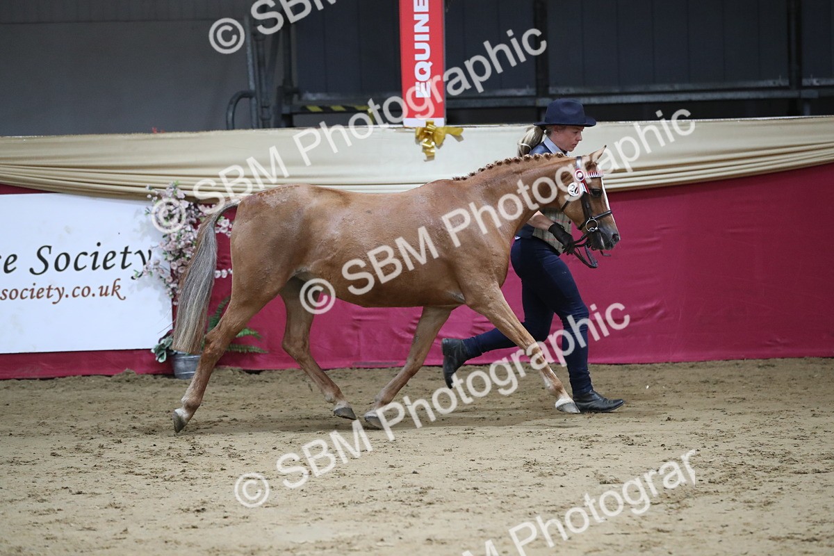 SBM_04977 - Class 8R- Regional -IH Veteran