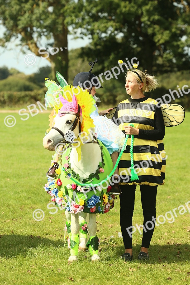 SBM_63648 - S35 - Fancy Dress Showing