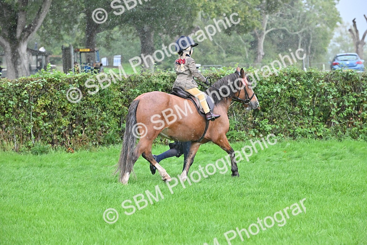 SBM_36468 - S18 - Novice & Newcomer Lead Rein Pony