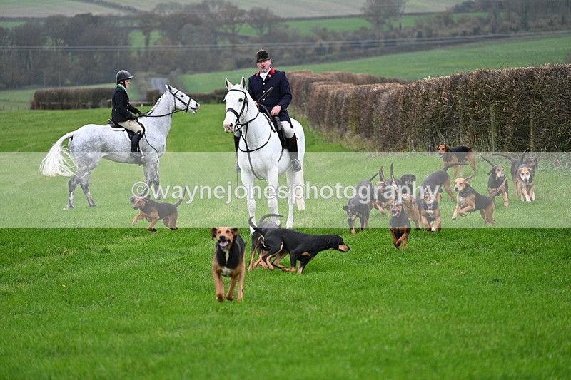 WJ7_8781 - Meet Staff & Hounds