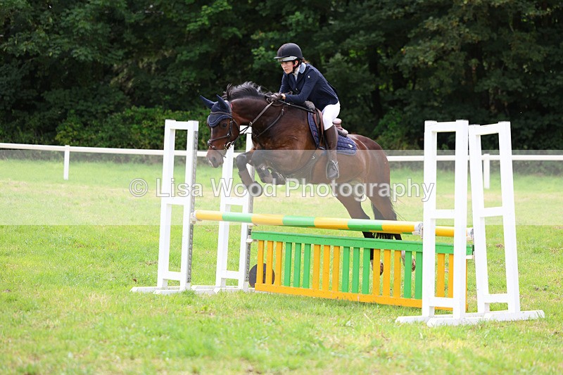 3E7A7150 - Class 5: Senior British Novice/90cm open