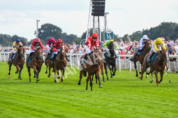 280723-Race 1-Tele Red-0058 - Race 1 5.00pm Pearly Cow Handicap