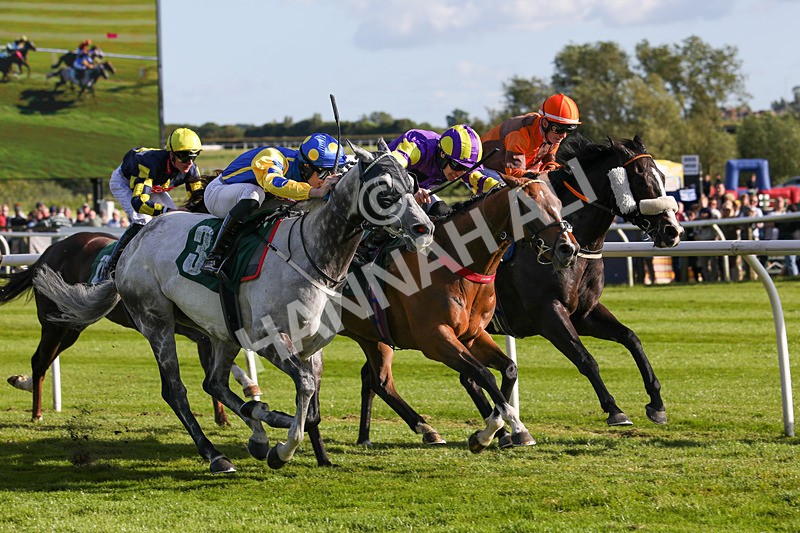 080624-Race 8-Resilience-5185 - Race 8