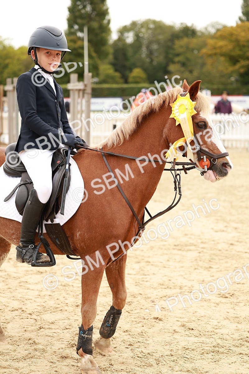 SBM_58082 - J11 - Junior Pony 50cm Championship