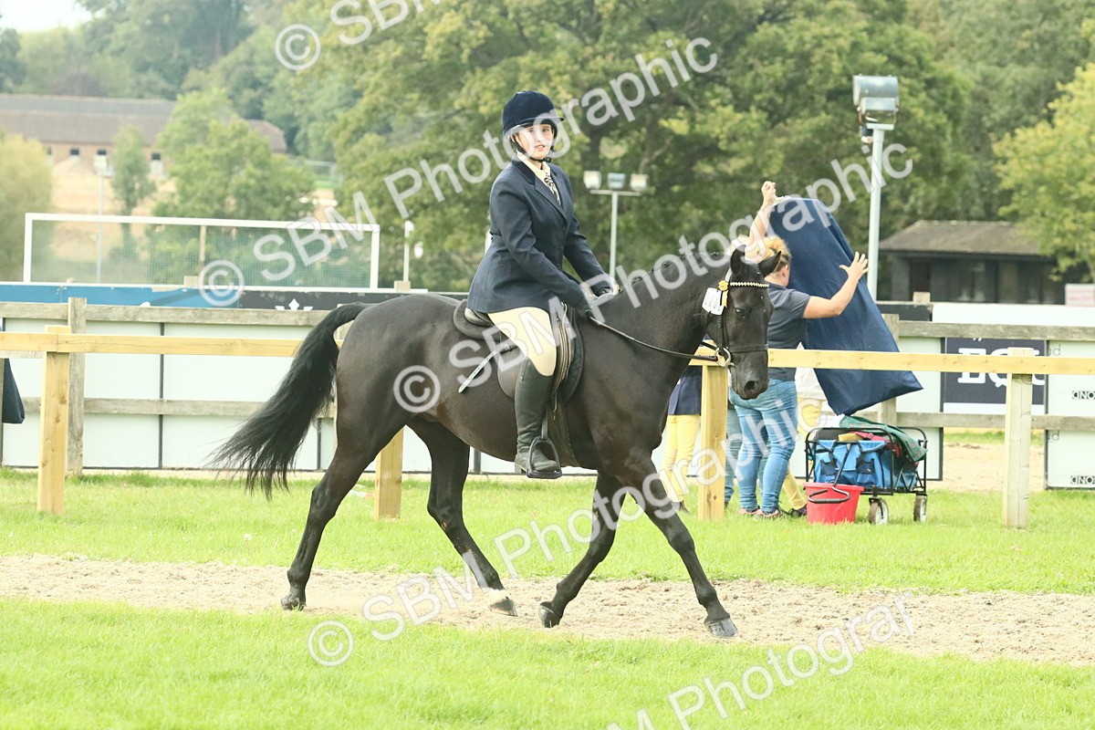 SBM_74096 - S 61 - Show Pony & Show Hunter Pony Ridden