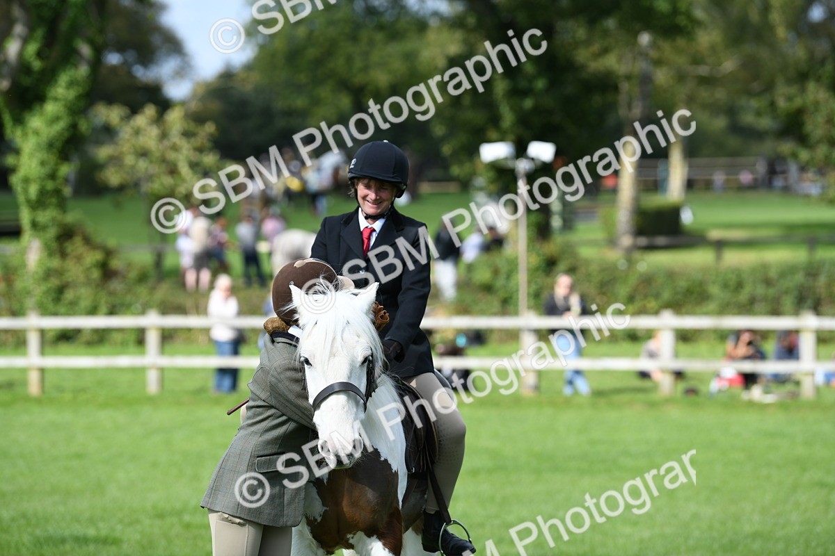 SBM_47040 - S12 - Family Horse & Pony