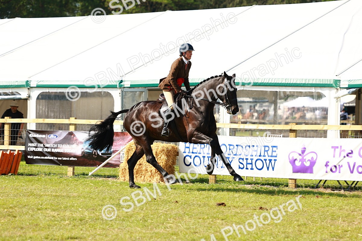SBM_11964 - Class 66-69 - RIHS Ridden Hunters Inc Small Hunter