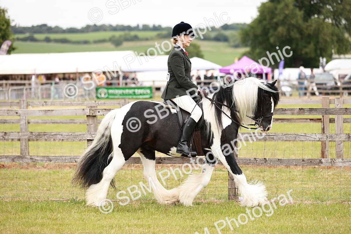 SBM_06089 - Class 39-41 TGCA In Hand and Ridden