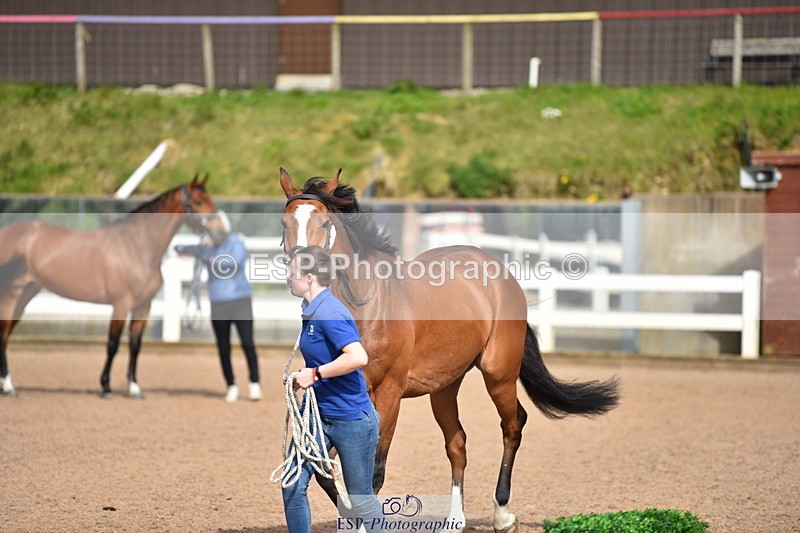 240417A-161016-01132 - 4pm to Finish