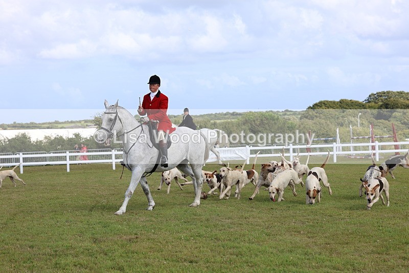 3E7A3384 - Parade of Hounds