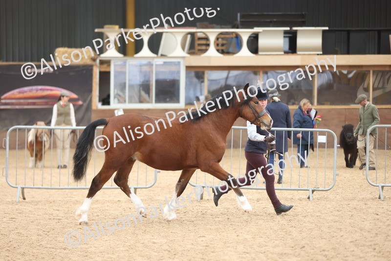 20251109-0903 - Class 26 - 2 and 4 Year Olds