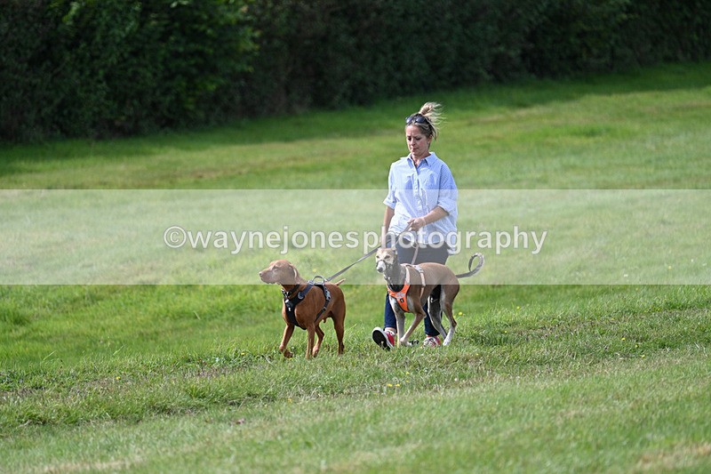 WJ7_7255 - Time 13:13 to 13:20