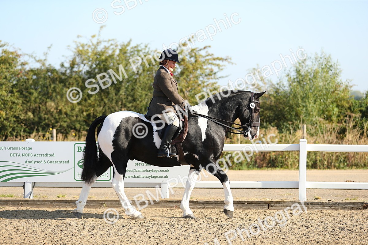SBM_01101 - Class 42 Ridden Veteran