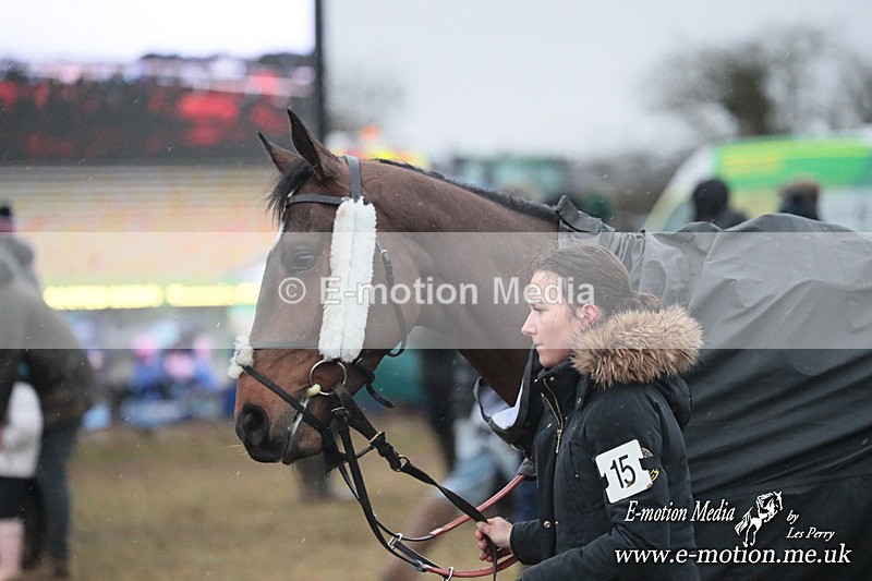 PtP 260125 990 - Cocklebarrow Point-to-Point racing with the Heythrop Hunt 26/01/25