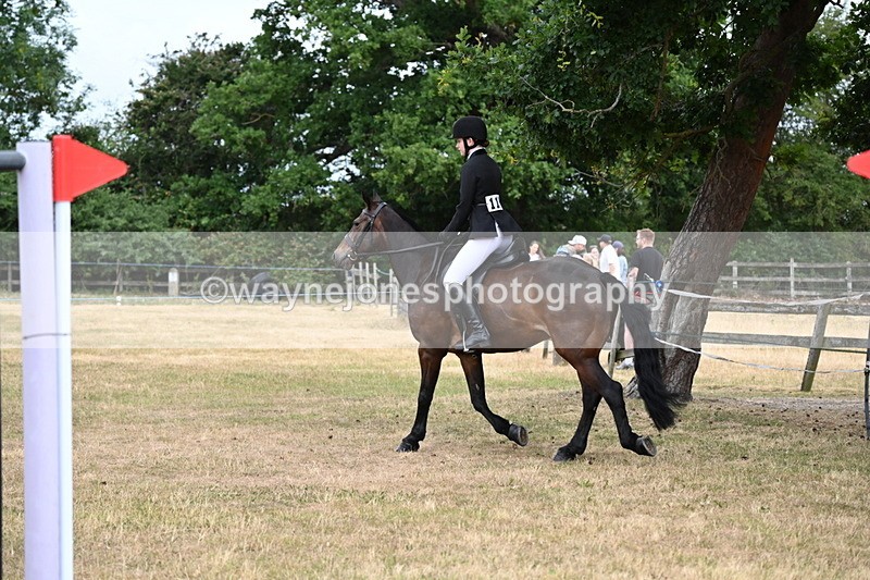 WJ6_3957 - Class 9 Tack & Turnout