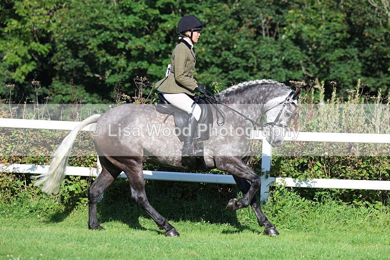3E7A7584 - Class 1: Novice Working Hunter Pony