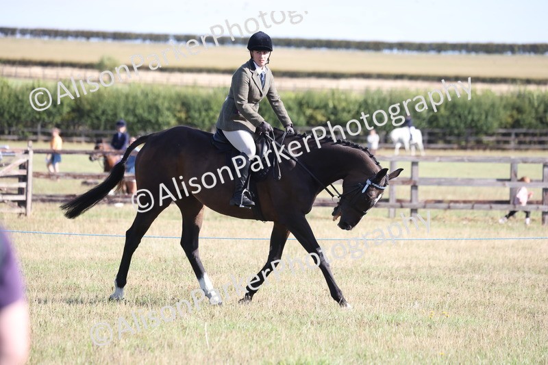 20260906-0410 - Class 14 - Ex Racehorse