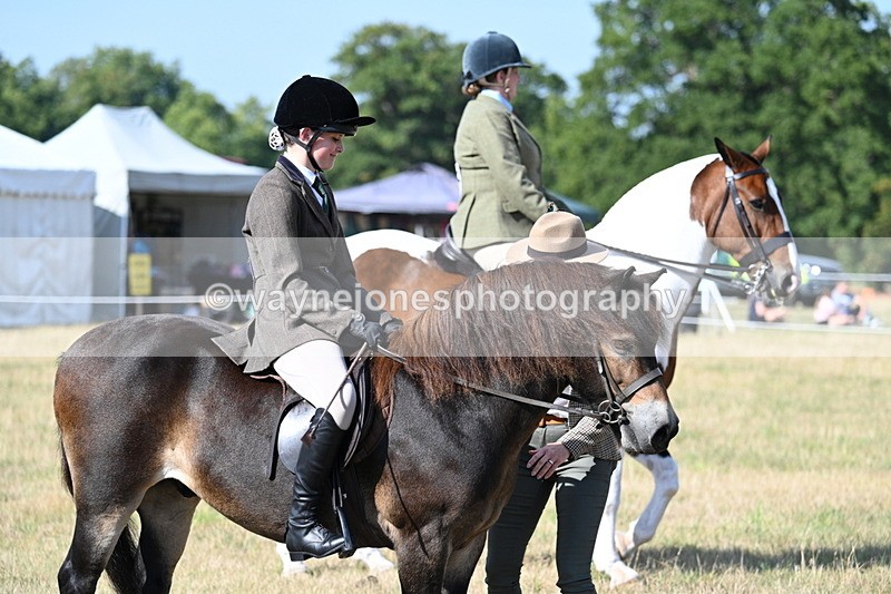 WJ7_2875 - Class 8 Ridden Tack & Turnout