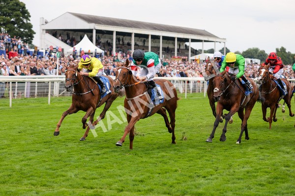 yr20082021r6-24 - Race 6 4.40pm Assured Data Protection British EBF Fillies' Stakes