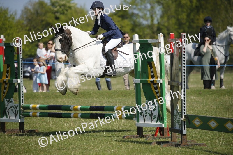 20250427-2001 - Class 13 - Novice Jumping 60cm