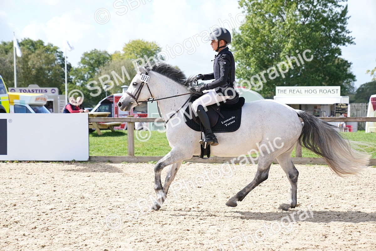 SBM_05984 - J56 - Clear Round 70cm