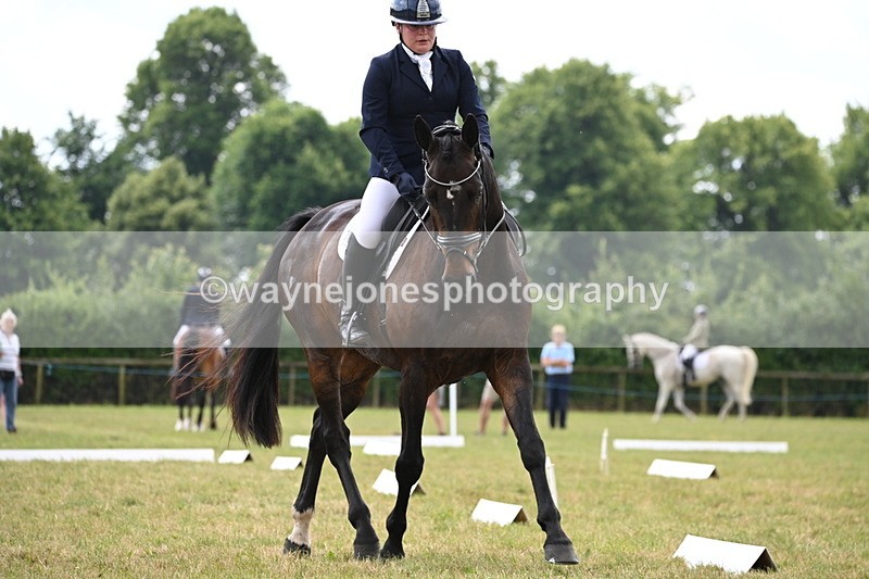 WJ6_6946 - Time 11:48 to 12:22