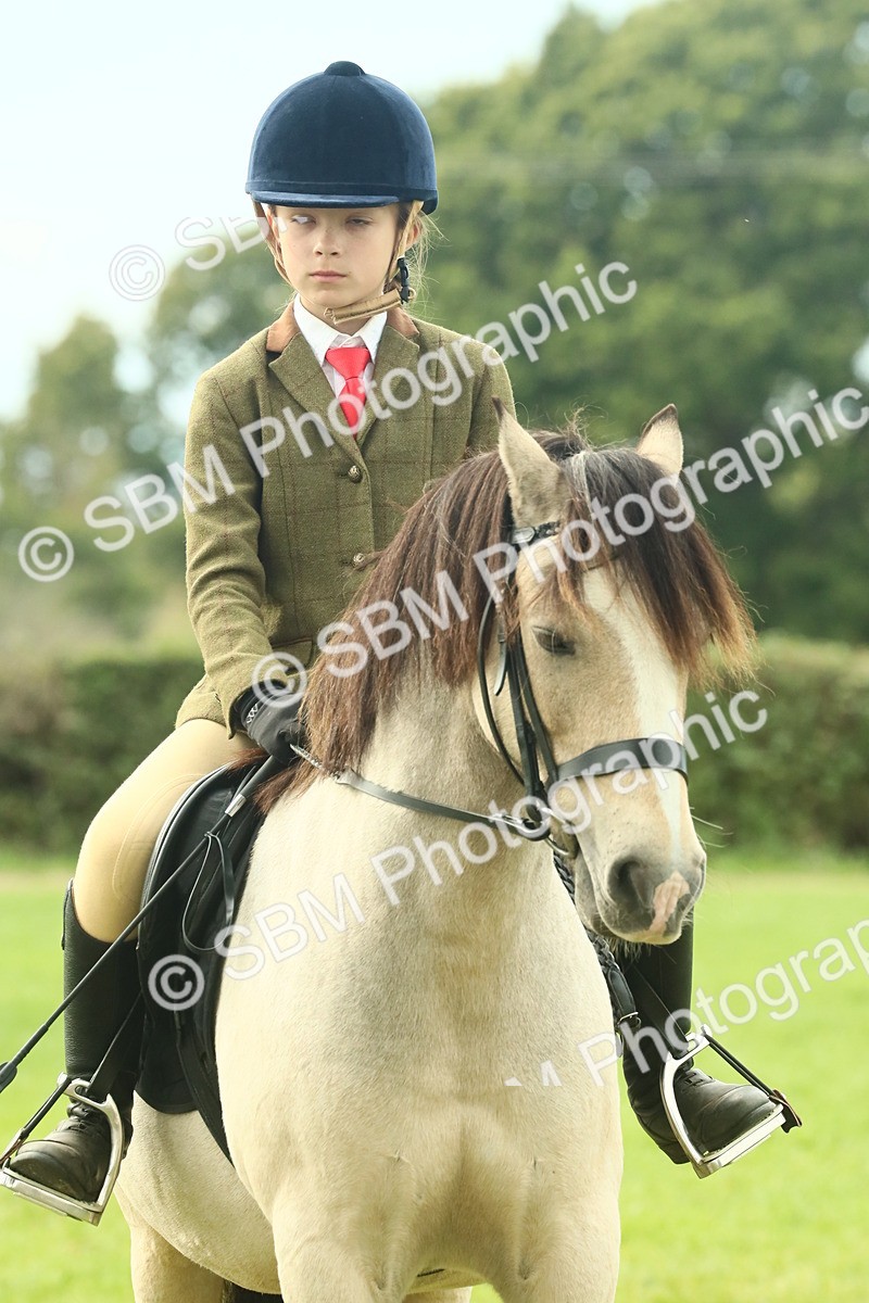 SBM_69999 - S59 - Mountain & Moorland Ridden Small Breeds
