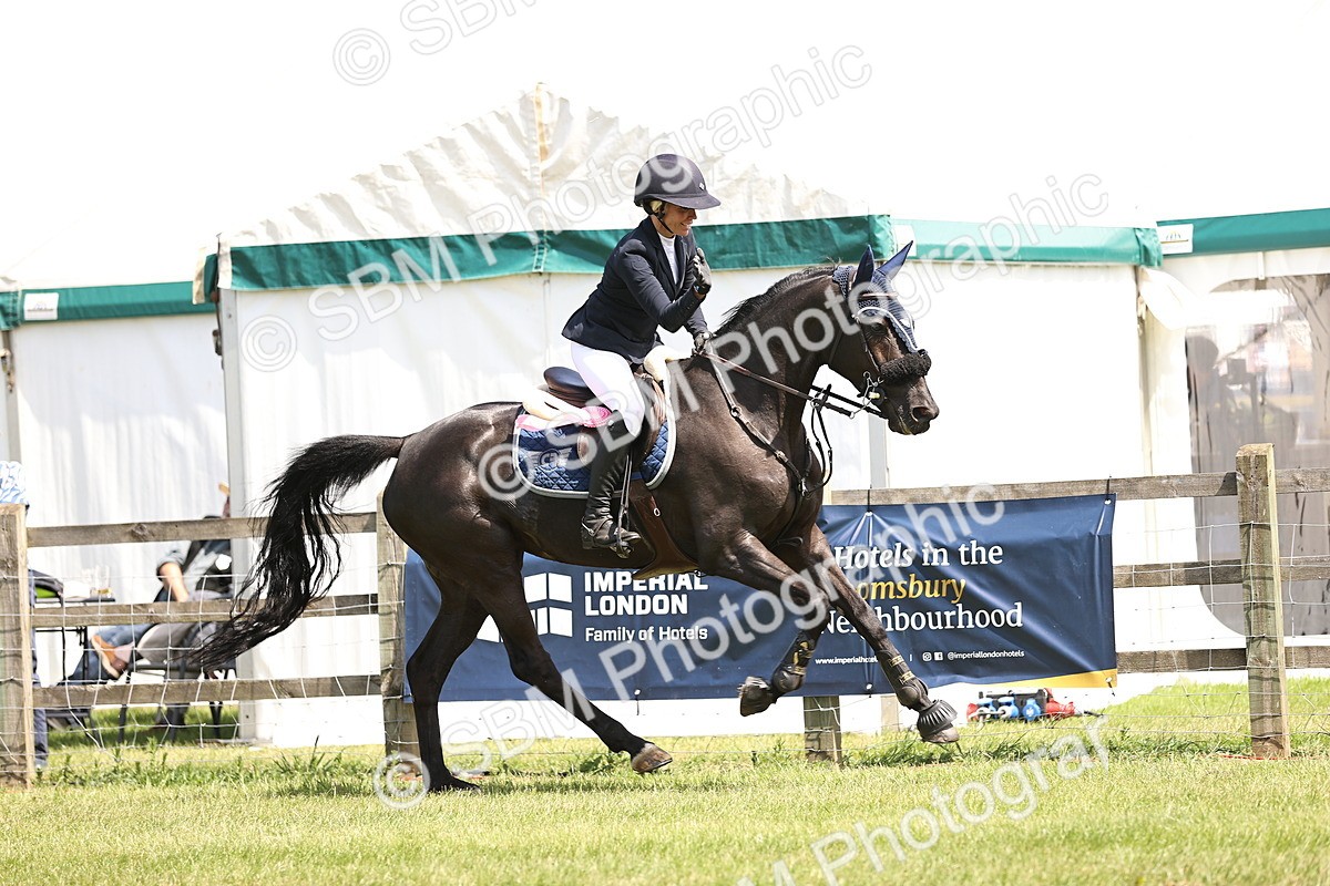 SBM_04101 - Class 201 - British Horse Feedds Speedi Beet HOYS Grade C