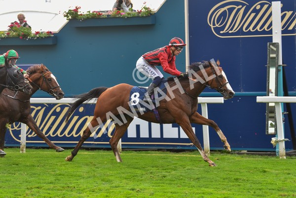 131023-Race 4-Hafeet Alain-9533 - Race 4 3.50pm William Hill Autumn Mile Handicap