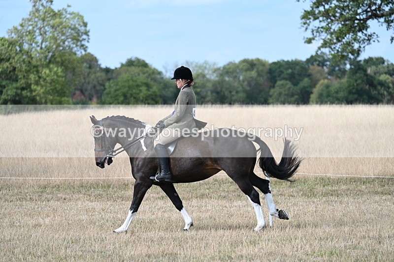 WJ7_7768 - Ridden Championship