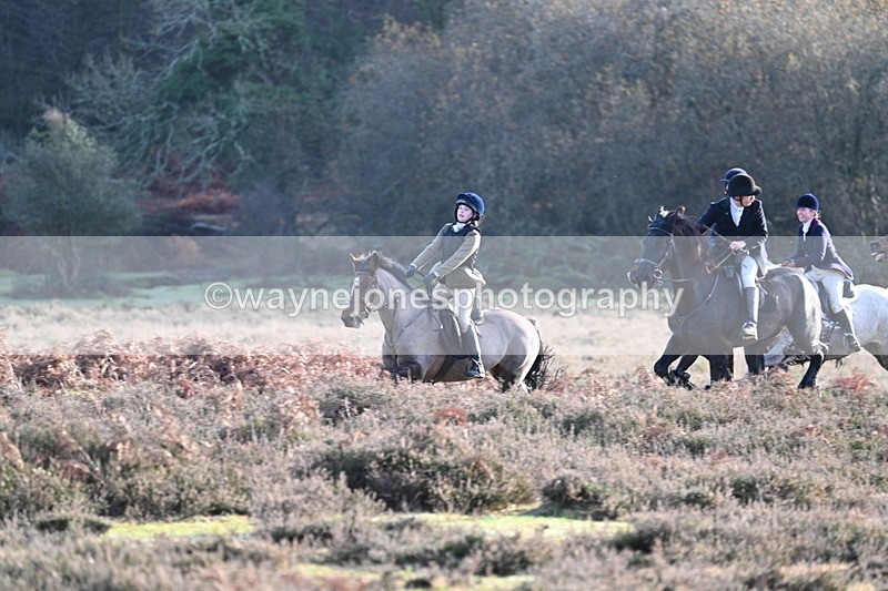 WJ7_7903 - Line 3 (no line 4 or 5)