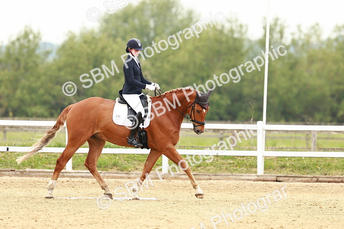 SBM_001231 - Class 6 - Novice 4