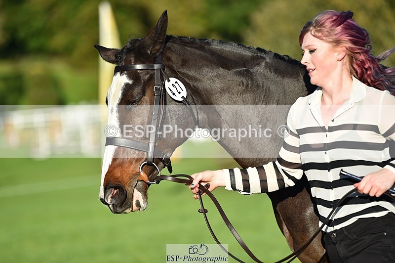 231022-093806-21935 - 427-COMBE.BREEZE-Gemma.Wells-TrotUp+SJ