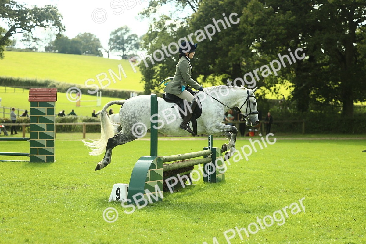 SBM_48008 - S32 - Novice & Newcomers Working Hunter