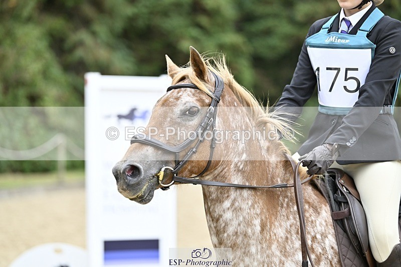 250820A-113401-03710 - Round 1, 11am to End