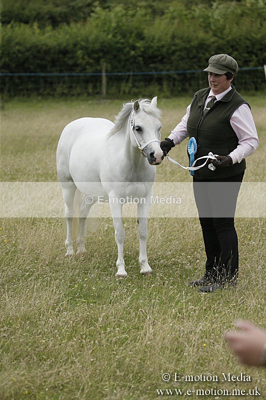 B230619-0600 - Bourne Valley Riding Club Summer Show 23/06/19