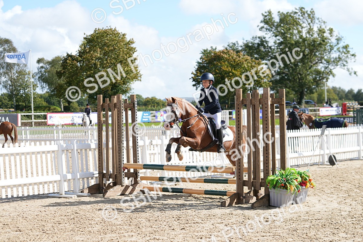 SBM_46512 - J7 - Junior Pony 60cm Championship