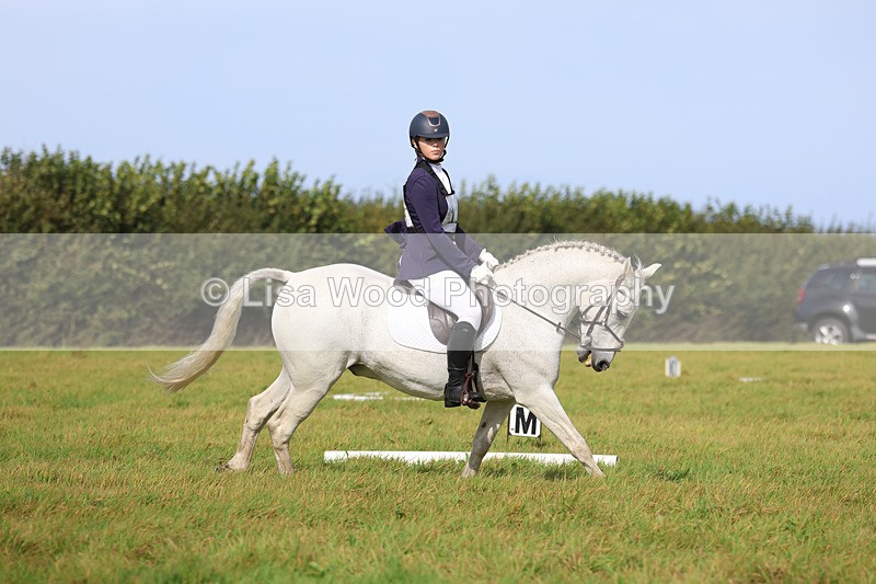 3E7A6238 - Class 1: Trebudannon Open: Dressage (Part 2)